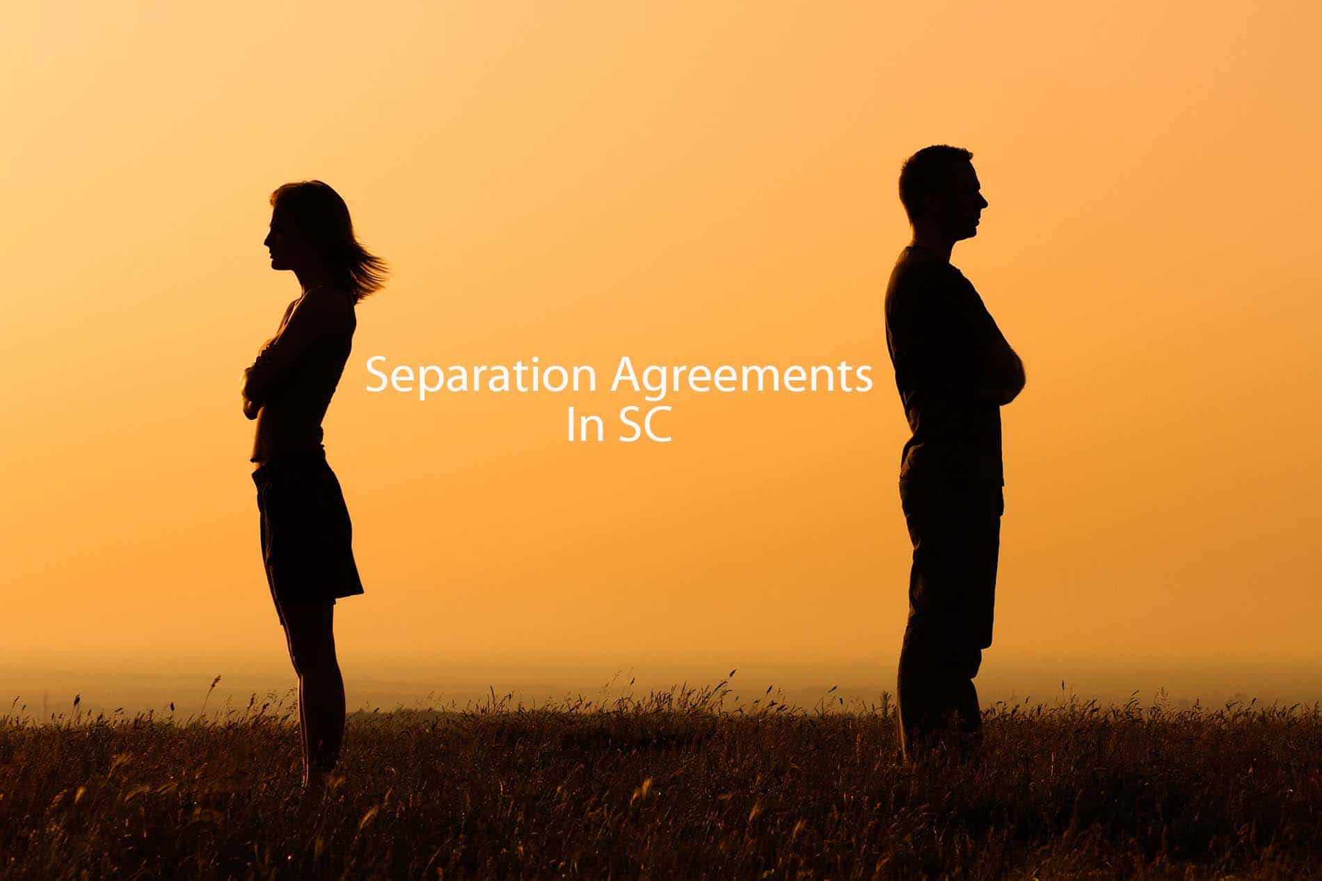 Woman and a man facing away from each other in a field at sunset with the words "Separation Agreements In SC" between them.